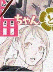 蜂蜜与四叶草